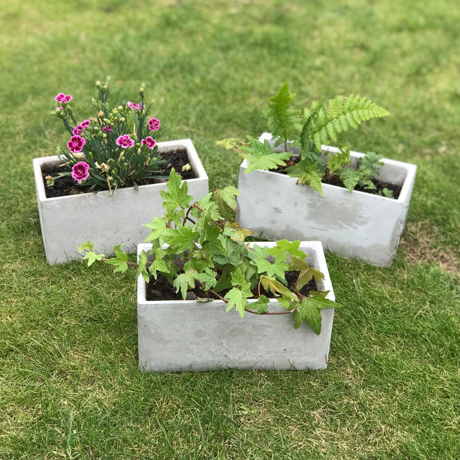 Pots &amp; Planters