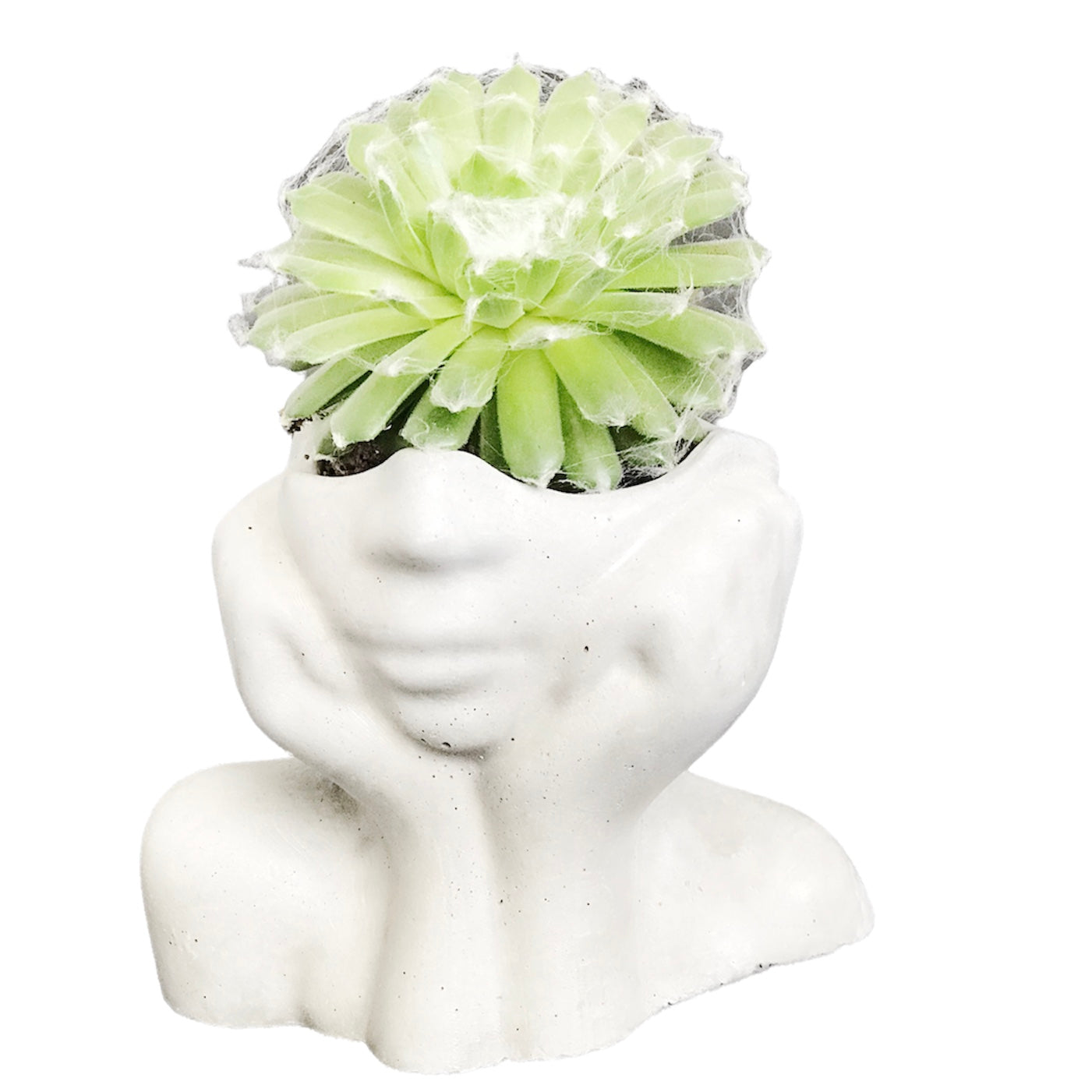 Face Decorative Succulent Plant Pots Planters Flowerpot White Luxdecor6