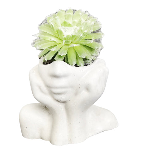 Face Decorative Succulent Plant Pots Planters Flowerpot White Luxdecor6