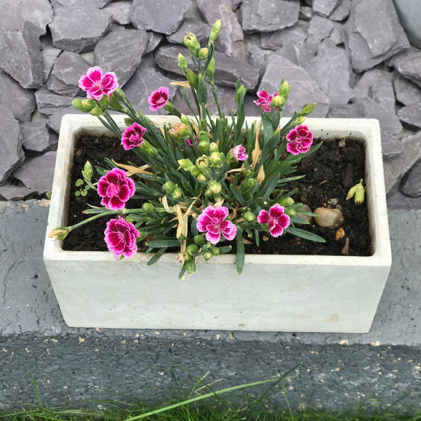 Rectangular Succulent Flower Plant Pots Planters Handmade Grey