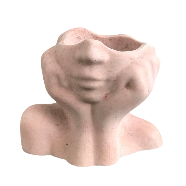 Face Decorative Succulent Plant Pots Planters Flowerpot Pink Luxdecor6