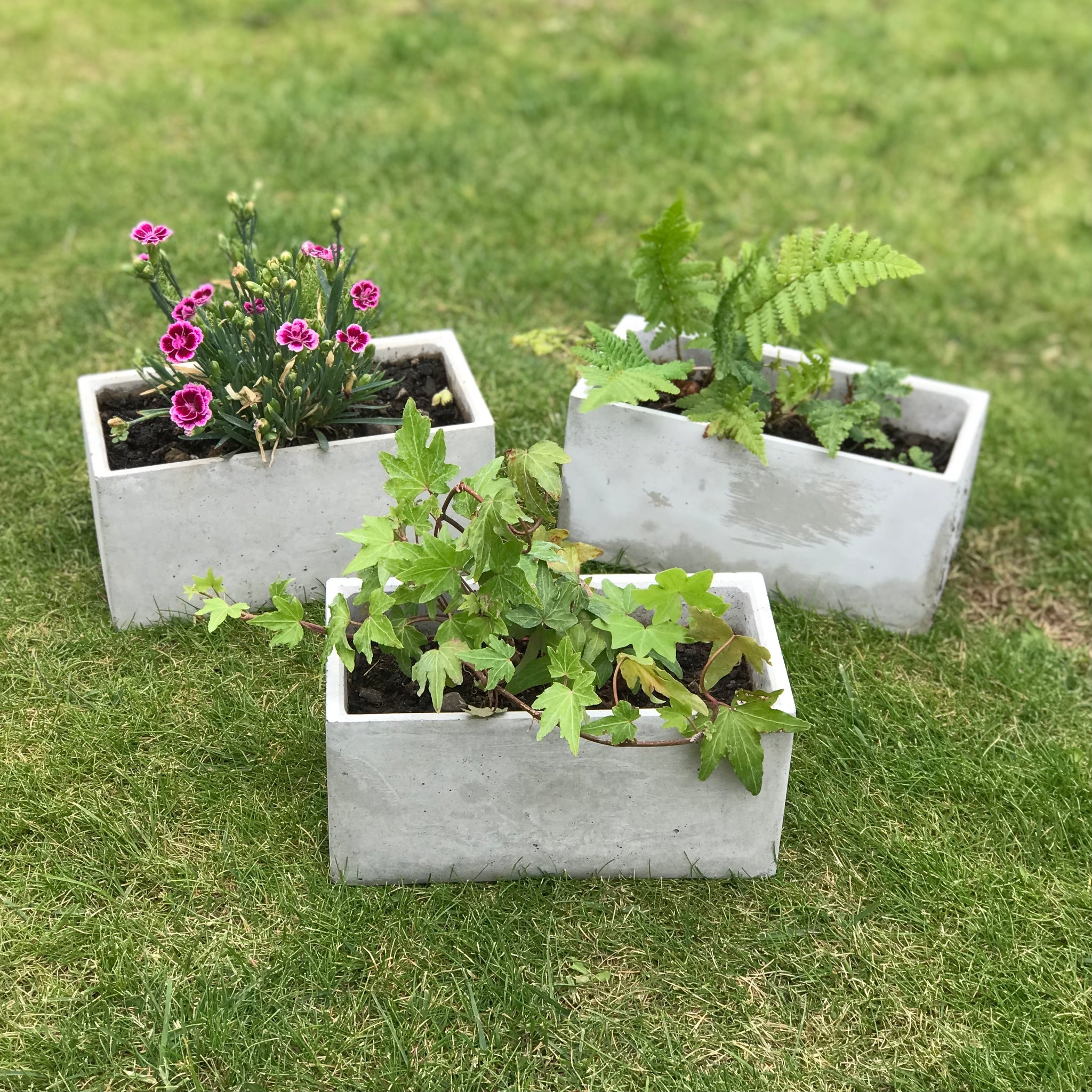 Rectangular Succulent Plant Pots Planters Flowerpot Grey Handmade Luxdecor6