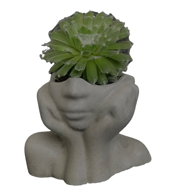 Face Decorative Succulent Plant Pots Planters Flowerpot Grey Luxdecor6