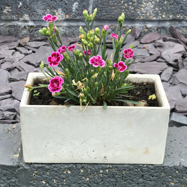 Rectangular Succulent Plant Pots Planters Flowerpot Grey Handmade Luxdecor6