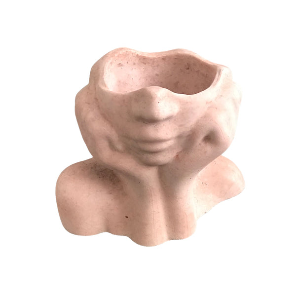Face Decorative Succulent Plant Pots Planters Flowerpot Pink Luxdecor6