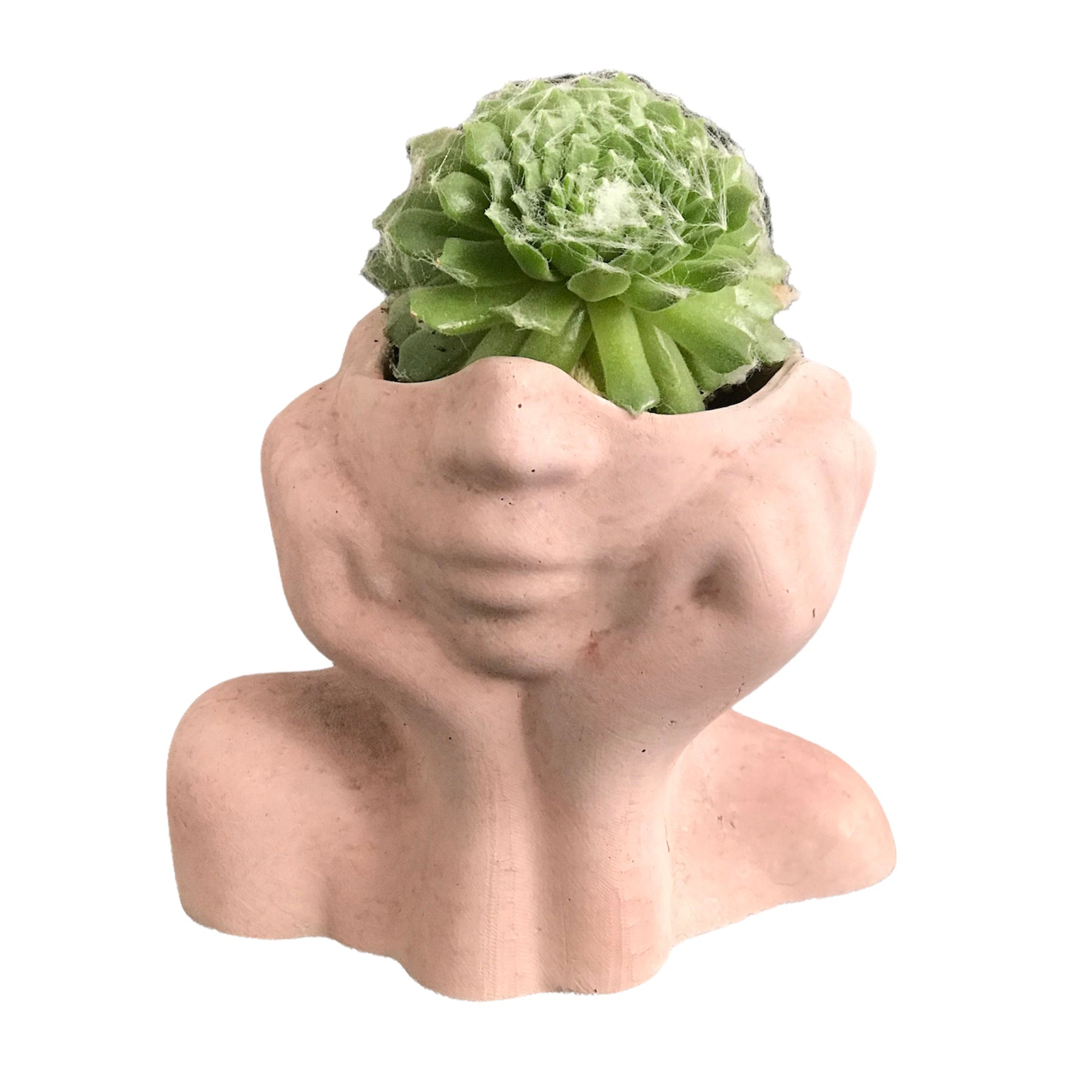 Face Decorative Succulent Plant Pots Planters Flowerpot Pink Luxdecor6