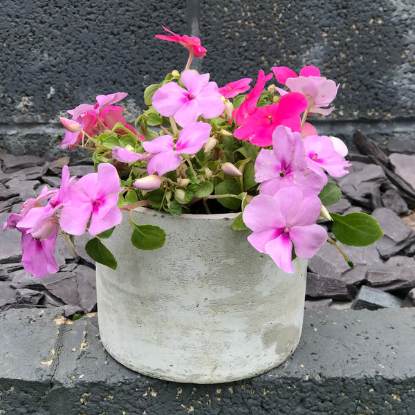 Concrete Succulent Plant Pots Planters Flowerpot Grey Handmade Luxdecor6