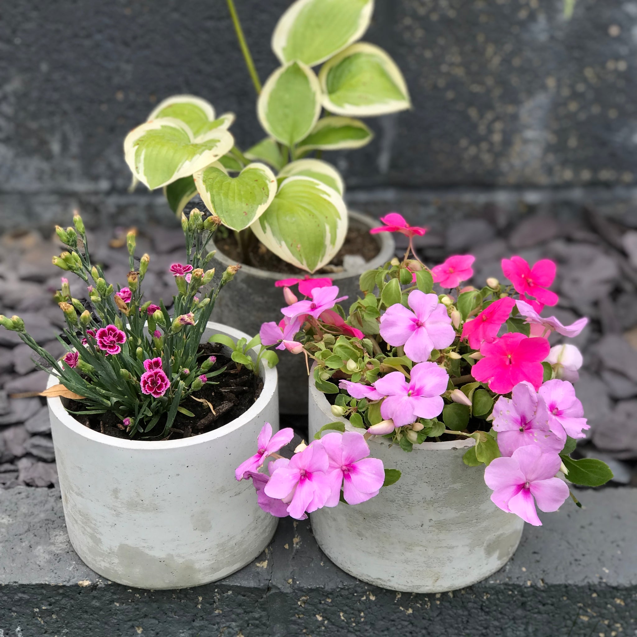 Concrete Succulent Plant Pots Planters Flowerpot Grey Handmade Luxdecor6