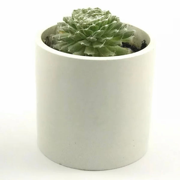 3pcs Plant Pots Planters Indoor Houseplant Succulents Garden Flower White