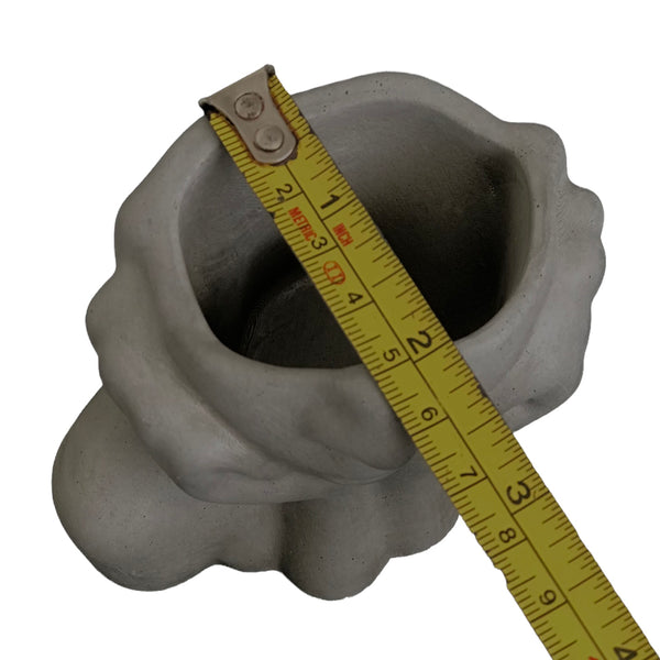 Face Decorative Succulent Plant Pots Planters Flowerpot Grey Luxdecor6