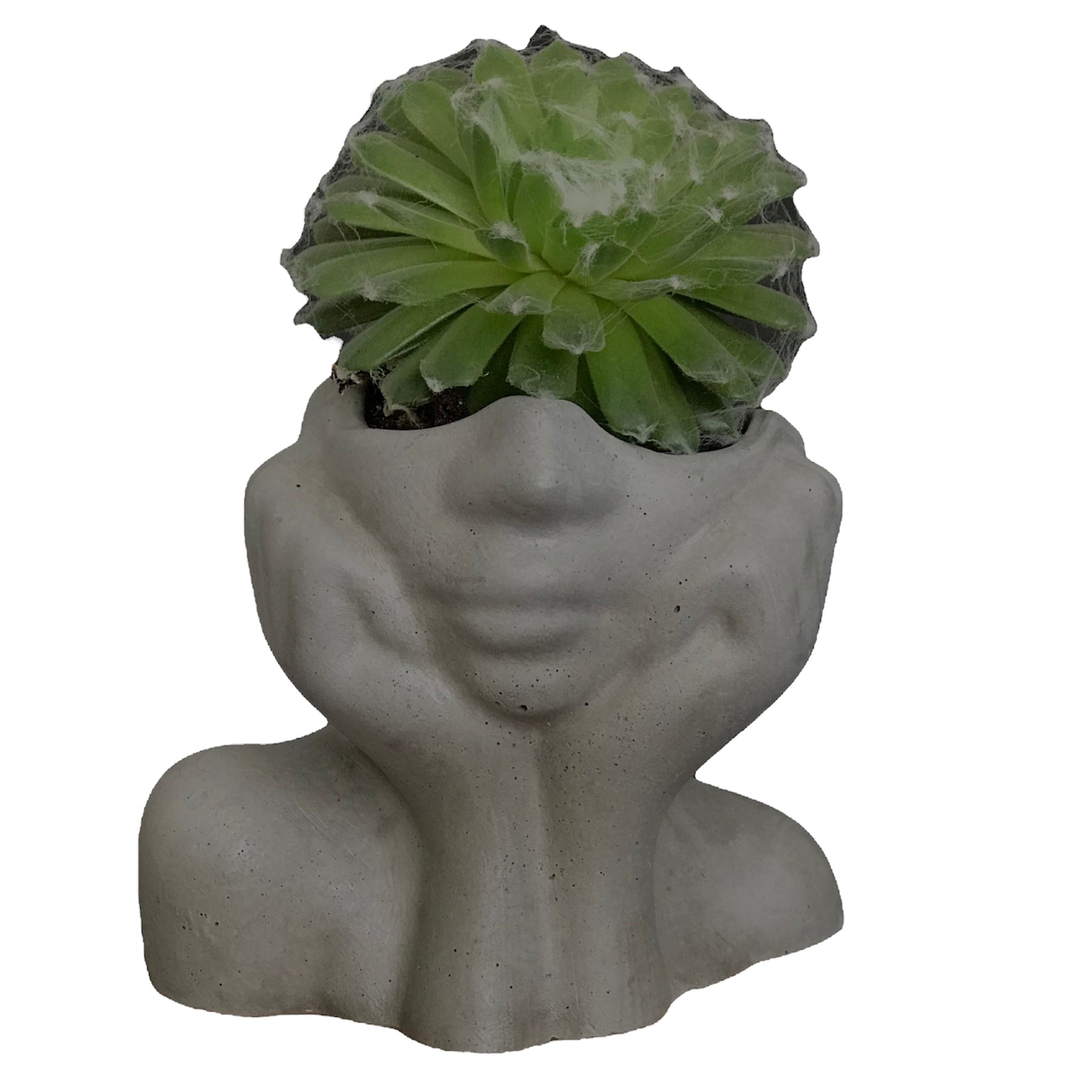 Face Decorative Succulent Plant Pots Planters Flowerpot Grey Luxdecor6