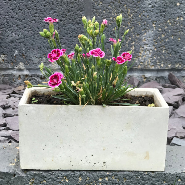 Rectangular Succulent Plant Pots Planters Flowerpot Grey Handmade Luxdecor6