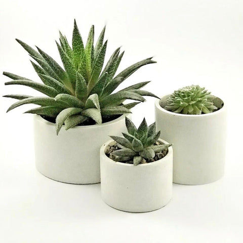 3pcs Plant Pots Planters Indoor Houseplant Succulents Garden Flower White