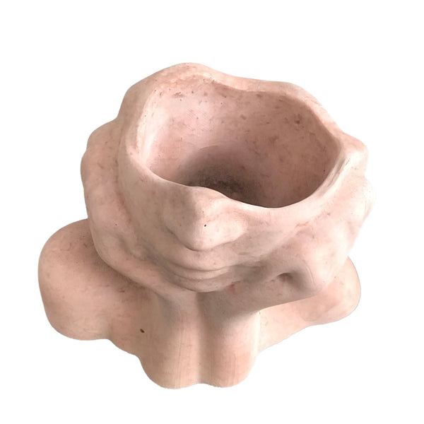 Face Decorative Succulent Plant Pots Planters Flowerpot Pink Luxdecor6