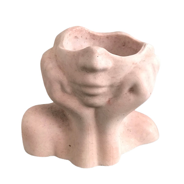 Face Decorative Succulent Plant Pots Planters Flowerpot Pink Luxdecor6